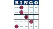 Bingo Screenshot